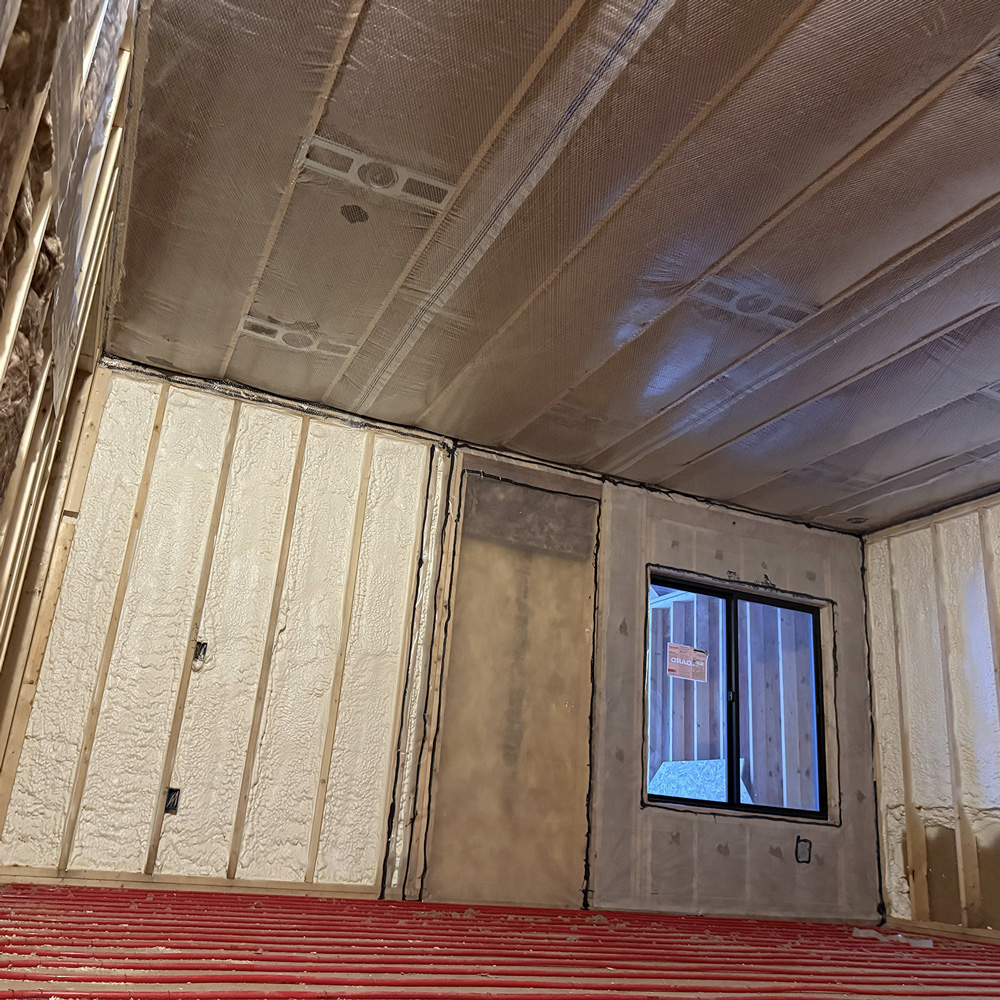 Insulation Removal & Corrective Work